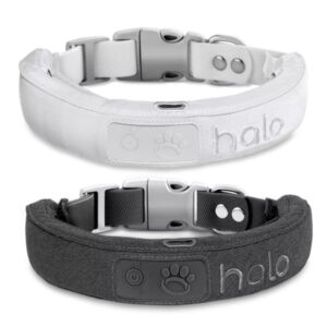 halo dog collar ivory and graphite