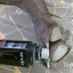 Andis Cordless dog nail clipper