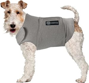 AKC Calm Anti-Anxiety and Stress Relief Coat by American Kennel Club