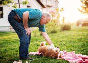 Old man playing with mixed breed dog on the grass