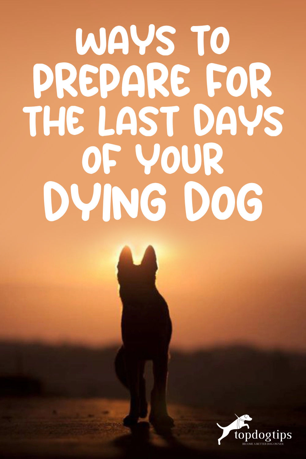 Prepare-for-Last-Days-of-Dog