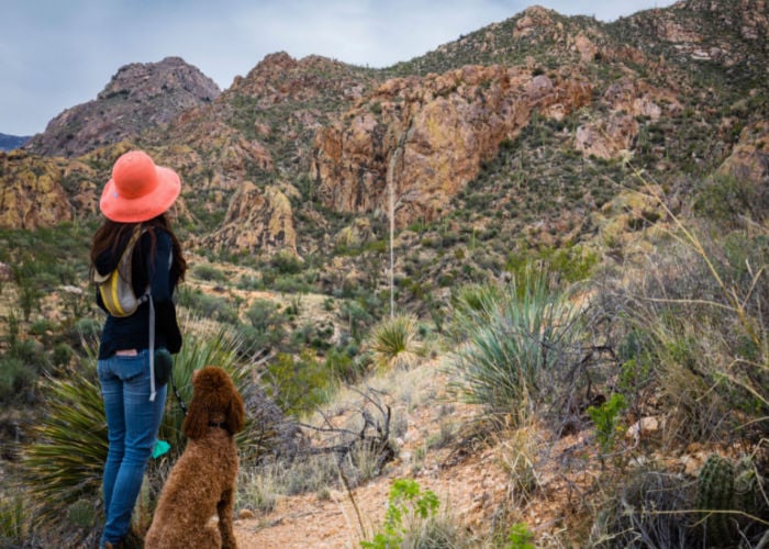 dog at Catalina State Park, Arizona