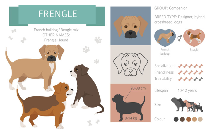 frengle dog