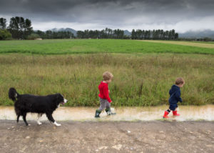 Border-collie-herding-two-kids