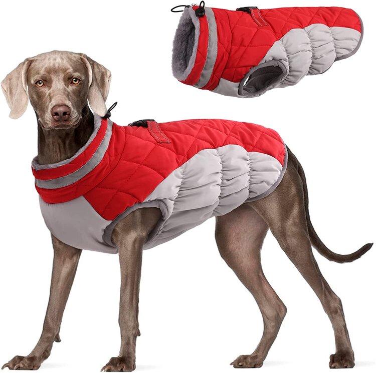 FUAMEY Dog Winter Clothes