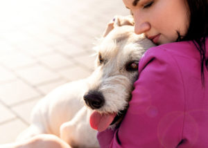 Loyal-adopted-mixed-breed-dog