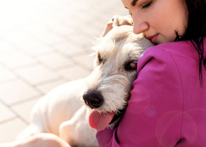 Loyal-adopted-mixed-breed-dog