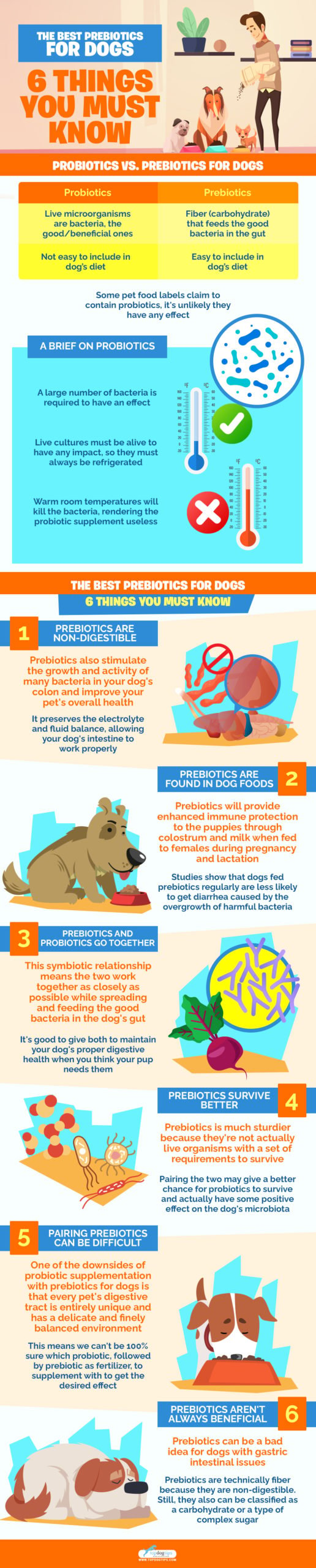 The Best Prebiotics for Dogs 6 Things You Must Know