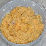 meatless homemade dog food