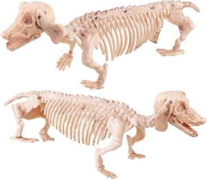 Dachshund Halloween Skeleton Dog