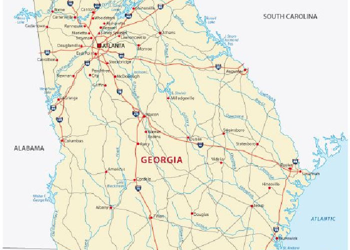 Georgia Pet Stores Map