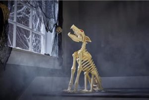 Home Accent Halloween Skeleton Wolf