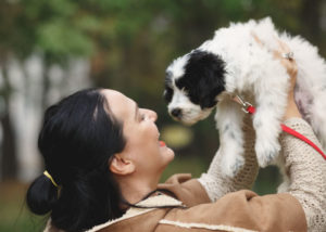 Puppy-tibetan-terrier-with-owner