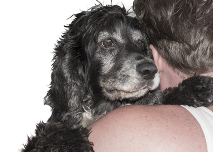 armant dog hugging his owner