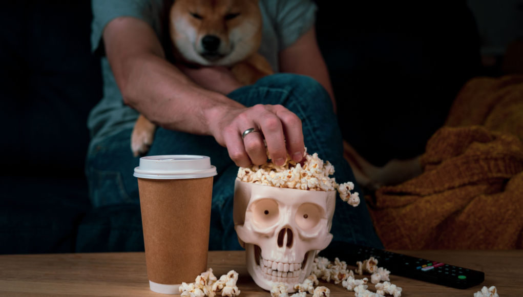 dogs-in-halloween-movies-featured-image