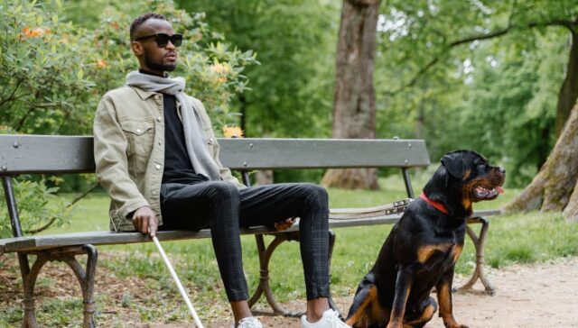 A blind man sitting in a park with his bling dog