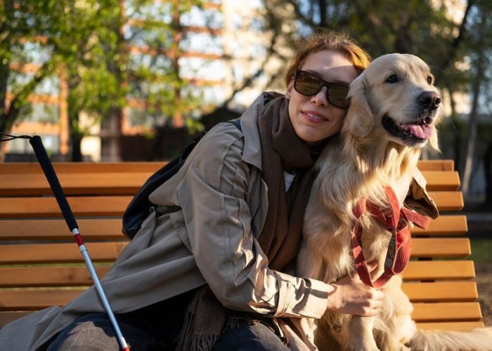 blind dog foundations with visually impaired