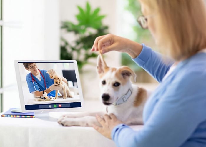 telehealth for dogs benefits