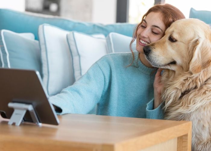 telehealth for dogs