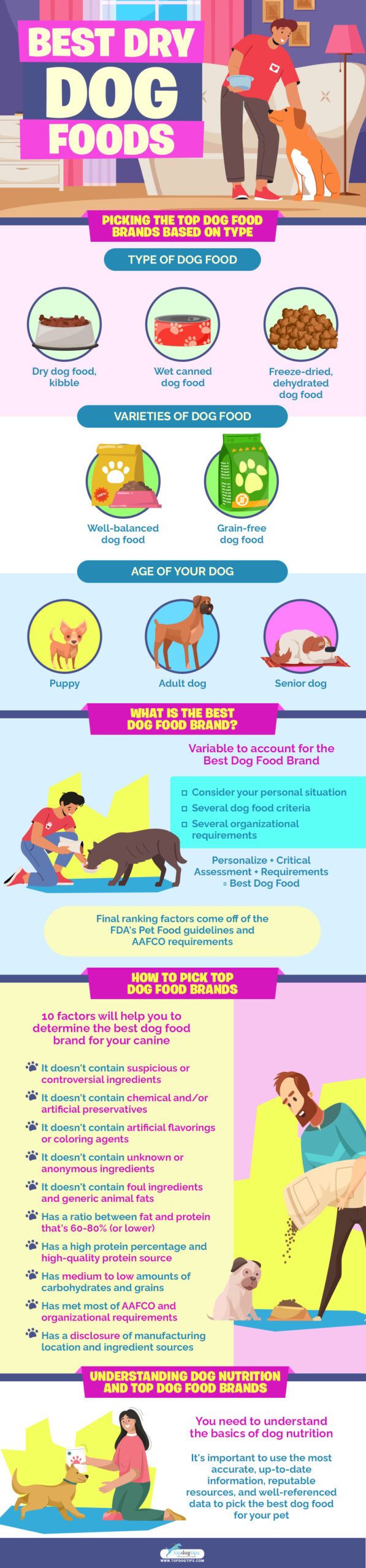 Best Dry Dog Foods infographics