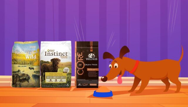 Top Dog Food Brands 2023