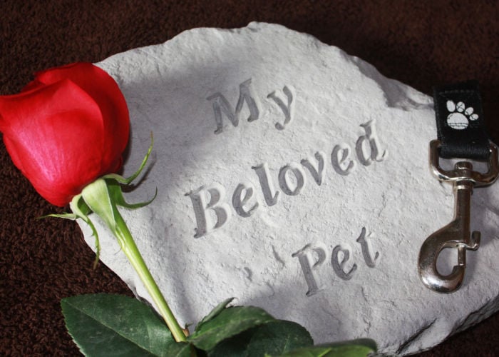 Other Ways to Support a Person Experiencing a Pet Loss