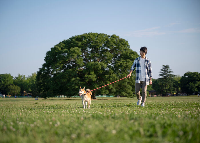 Biggest Dog Parks in the World