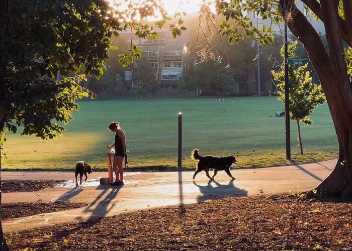 Biggest Dog Parks in the World