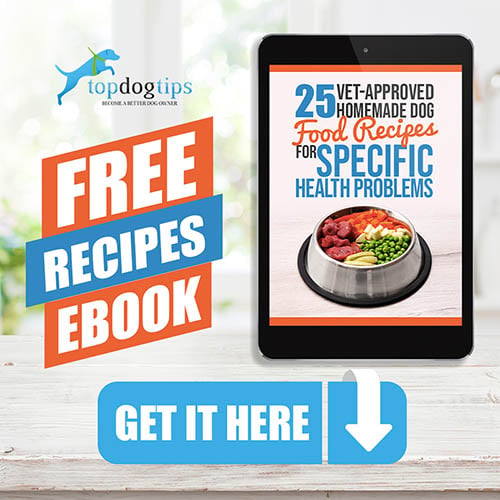 Free 25 Homemade Dog Food Recipes eBook