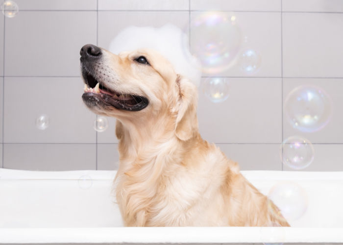 indoor spring bath