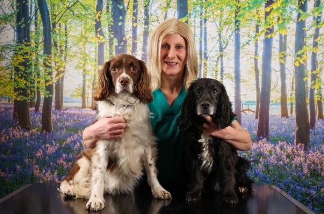 Angie Shaw with her spaniels Toby, left, and Stanley