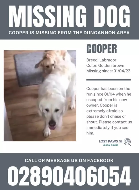 Cooper's missing poster