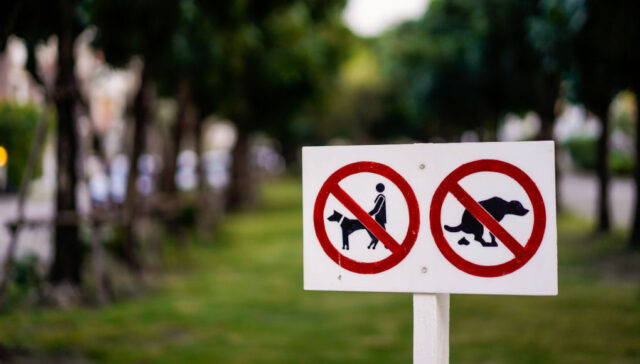 Dog Park Rules and Regulations