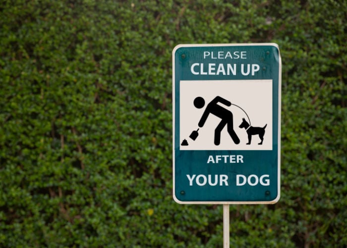 Dog Park Rules and Regulations cleaning up