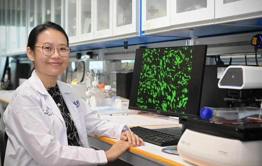 Dr Sarah Ho with microscopic pictures of the modified stem cells