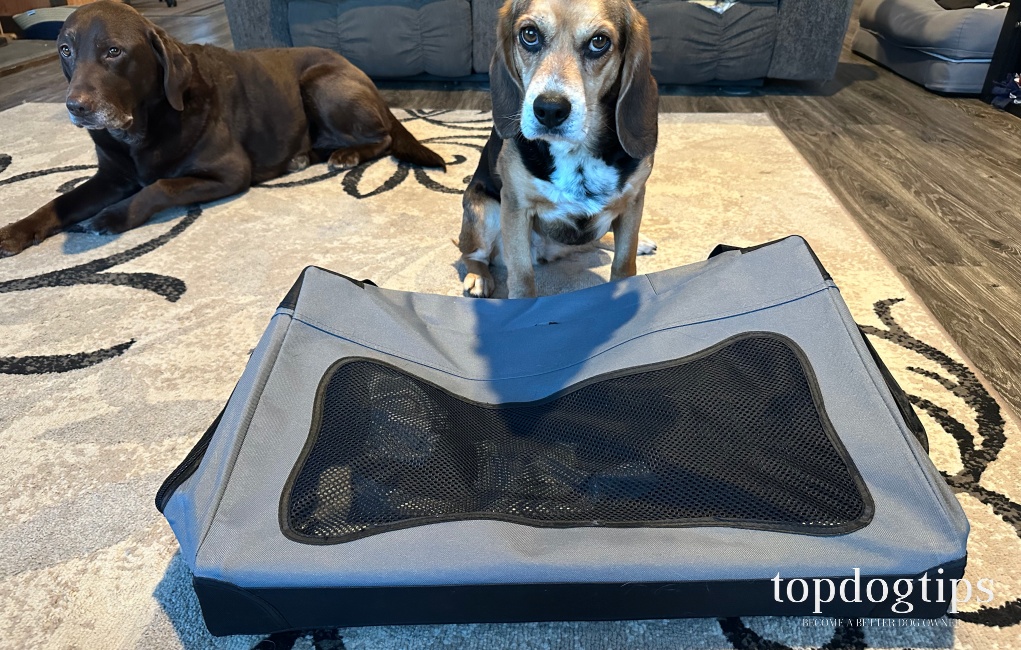 Mr. Peanut Folding Pet Crate