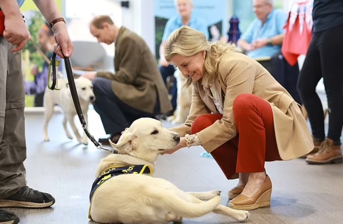 Sophie beamed as she stroked a dog at the training centre as part of the Big Help Out