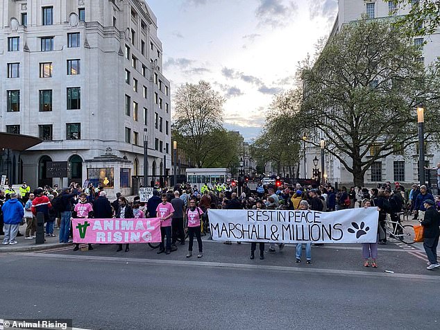 animal rising protest in Scotland Yard