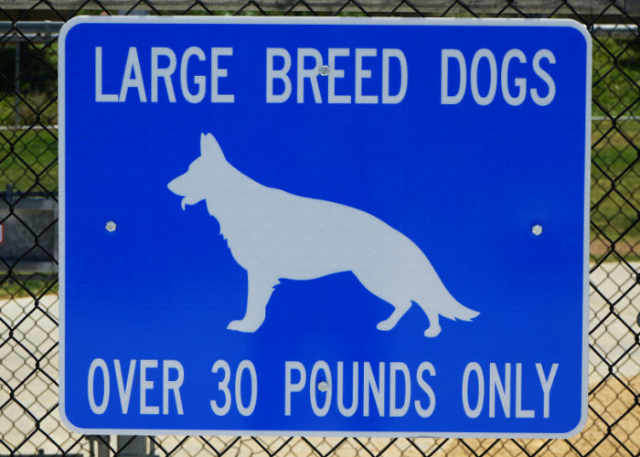 dog parks for large breeds