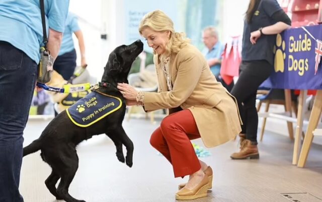 dog rushes up and kisses Sophie, Duchess of Edinburgh