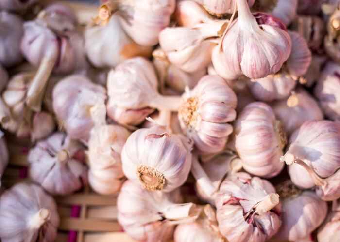 herbs toxic to dogs garlic