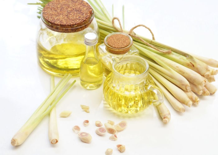 is lemongrass essential oil safe for dogs