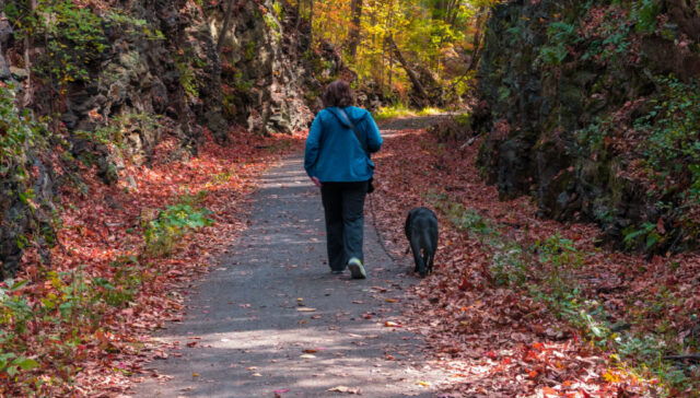 most dog-friendly parks in the US