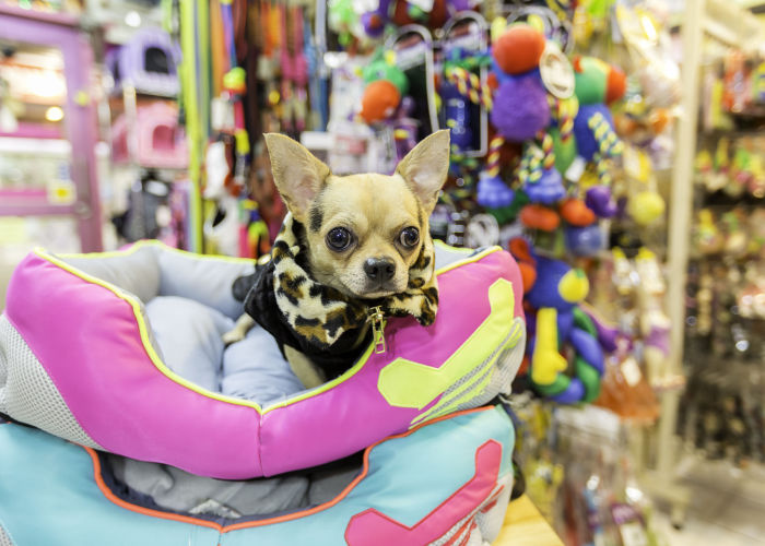 Best Pet Stores in Montana