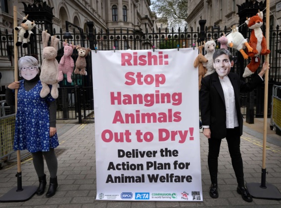 Charities used a banner urging Coffey and Sunak not to ‘hang animals out to dry'