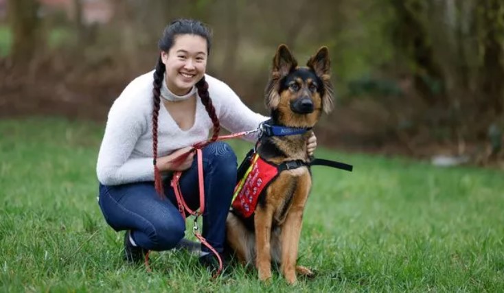 German Shepherd service dog saves its owner from house fire