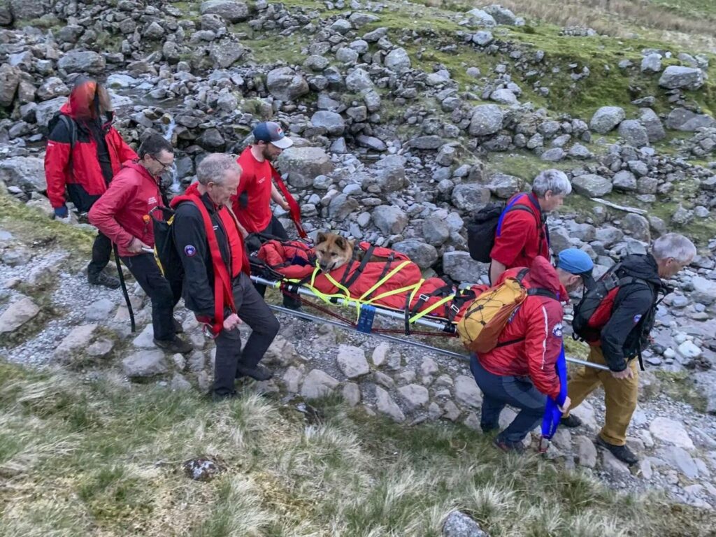 Photograph: KeswickMountainRescueTeam SWNS Dog being carried down