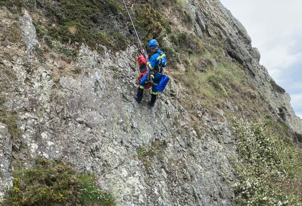 SFRS Line Rescue: Dog Rescued After Falling Over 200ft Cliff Edge