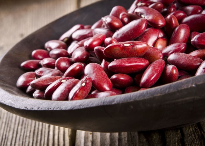 can dogs eat kidney beans