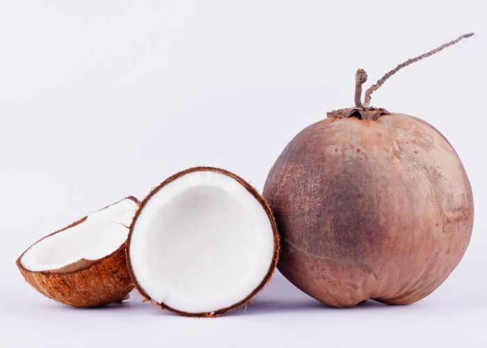 coconut for dogs